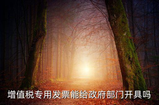 什么內(nèi)容的發(fā)票不可以給政府部門，增值稅專用發(fā)票能給政府部門開具嗎