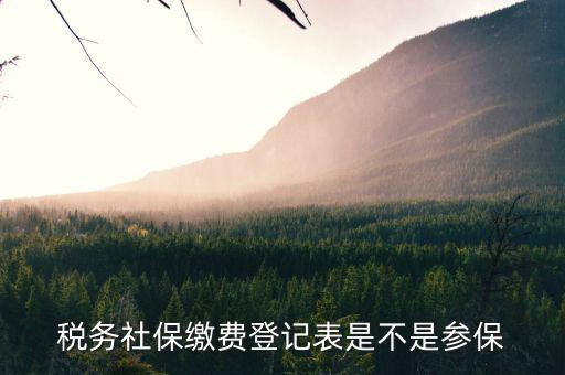 社保繳費(fèi)登記表是什么意思，稅務(wù)社保繳費(fèi)登記表是不是參保