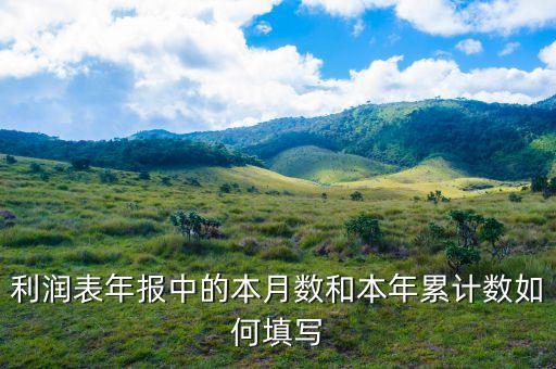 年報(bào)利潤(rùn)表根據(jù)什么填寫，利潤(rùn)表年報(bào)中的本月數(shù)和本年累計(jì)數(shù)如何填寫