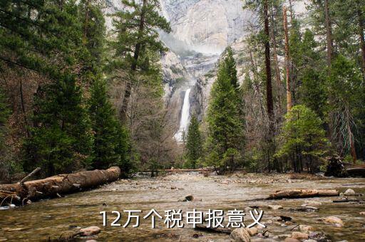12萬為什么個稅申報表，12萬以上個人所得稅申報是什么意思