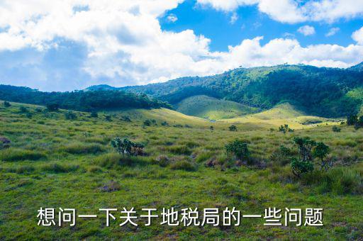想問一下關于地稅局的一些問題