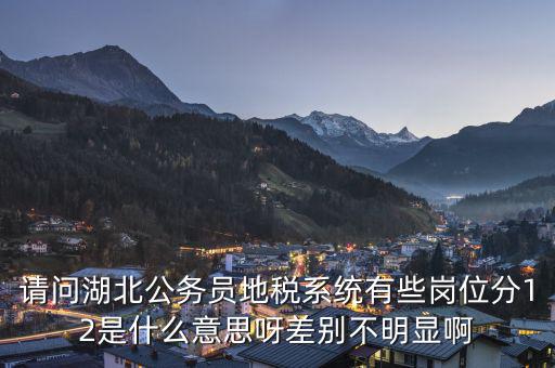 地稅上線是什么意思，0801國稅地稅啥意思