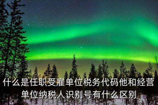 報(bào)稅自然人識(shí)別號(hào)是什么，個(gè)稅申報(bào)顯示存在相同唯一識(shí)別號(hào)是什么意思