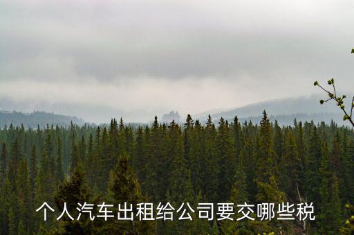 車輛租賃交什么稅，轎車租賃需繳納多少稅控