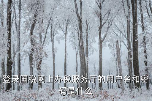什么是電子稅務(wù)局登錄賬號(hào)，登錄國(guó)稅網(wǎng)上辦稅服務(wù)廳的用戶名和密碼是什么