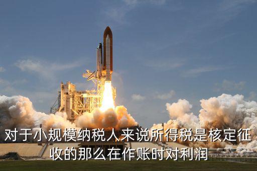 核定征收 有什么利，我不知道核定征收與查賬征收那個對公司有利些