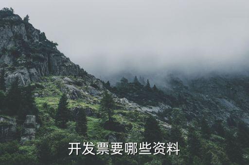 發(fā)票需要什么，開發(fā)票要哪些資料