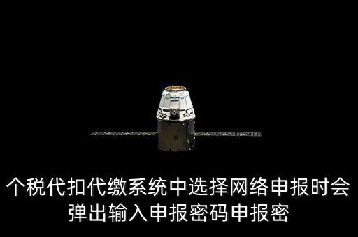 個(gè)稅申報(bào)密碼是什么意思，網(wǎng)上報(bào)稅 報(bào)稅密碼是什么