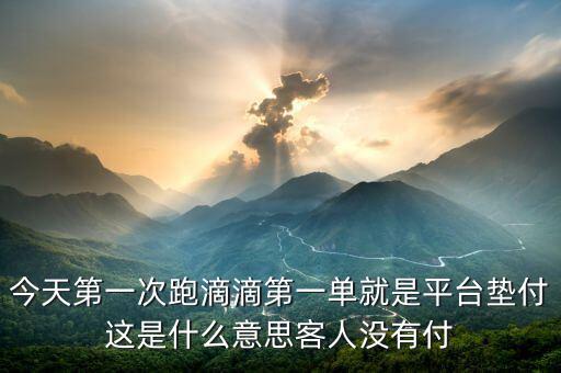稅客平臺什么意思，稅收中價格平臺是什么意思