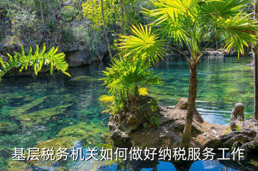 納稅服務(wù)是指什么，納稅服務(wù)的三個主體是什么