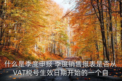 什么是季度申報表，有關(guān)企業(yè)申報的季度報表