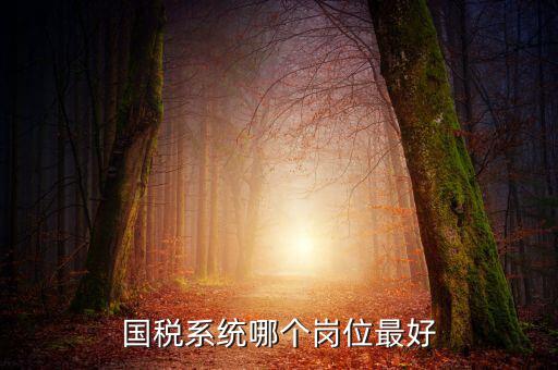 國稅局什么崗位好，國稅局哪個(gè)崗位比較好