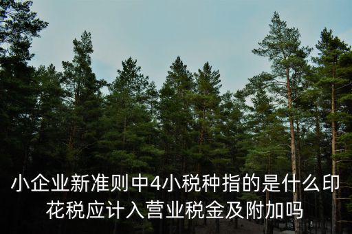 小企業(yè)新準(zhǔn)則中4小稅種指的是什么印花稅應(yīng)計(jì)入營業(yè)稅金及附加嗎