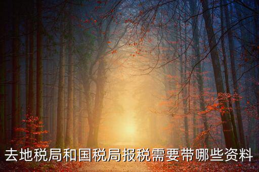 國(guó)稅報(bào)稅需要什么材料，去地稅局和國(guó)稅局報(bào)稅需要帶哪些資料