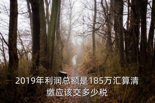匯算清繳交什么稅，年度匯算清繳應(yīng)交稅率是多少