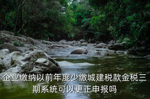 金稅三期更正申報(bào)需要什么資料，企業(yè)繳納以前年度少繳城建稅款金稅三期系統(tǒng)可以更正申報(bào)嗎