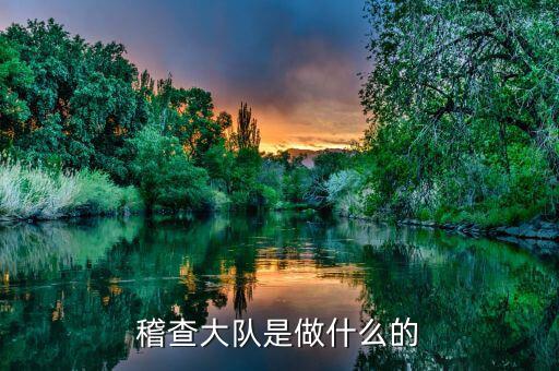 稽查大隊是做什么的