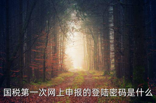 國稅第一次網上申報的登陸密碼是什么