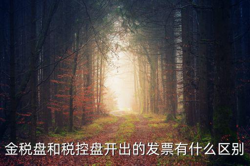 金稅盤(pán)和稅控盤(pán)是什么，金稅盤(pán)和稅控盤(pán)開(kāi)出的發(fā)票有什么區(qū)別