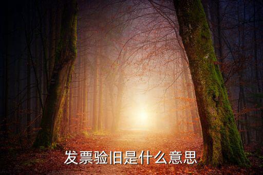 增值稅驗舊是什么意思，發(fā)票驗證時提示舊系統(tǒng)已驗舊是什么意思