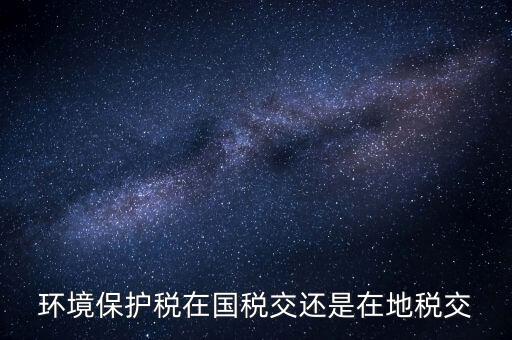 什么人要交環(huán)境保護(hù)稅，環(huán)境保護(hù)稅在國稅交還是在地稅交