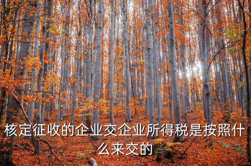 核定稅稅率是按照什么作參照的，稅率按照哪個(gè)來定