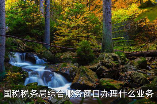 國(guó)稅大廳辦理什么業(yè)務(wù)，辦稅大廳都做些什么事