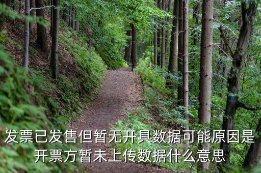 百旺的開票未上傳是什么意思，發(fā)票已發(fā)售但暫無開具數(shù)據(jù)可能原因是開票方暫未上傳數(shù)據(jù)什么意思