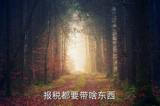 大連國稅局報(bào)稅帶什么東西，報(bào)稅都要帶啥東西