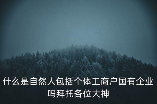 什么是稅務(wù)中的自然人，會(huì)計(jì)中自然人所指的是那種人