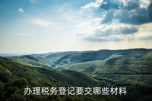 辦理稅務登記要交哪些材料