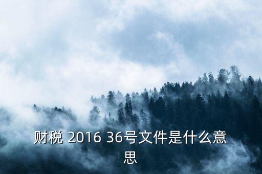 財(cái)稅 2016 36號文件是什么意思
