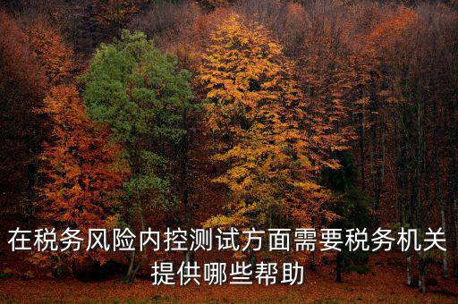 在稅務(wù)風(fēng)險(xiǎn)內(nèi)控測試方面需要稅務(wù)機(jī)關(guān)提供哪些幫助