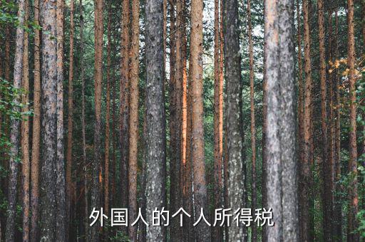 外國人的個(gè)人所得稅