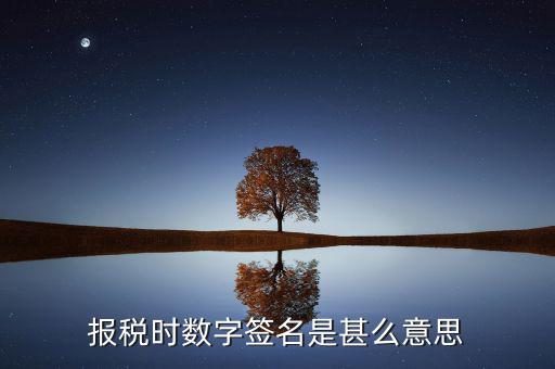 報稅時數字簽名是甚么意思