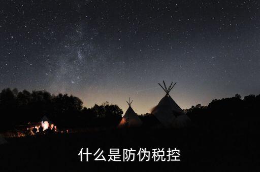 防偽稅控盤(pán)什么，什么是防偽稅控