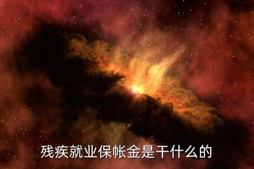 殘疾人保障金有什么用，殘疾就業(yè)保帳金是干什么的