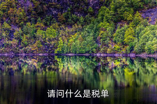 納稅申報(bào)單是什么，網(wǎng)上申報(bào)納稅都是什么報(bào)表 如何操作 簡(jiǎn)單么