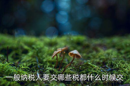 一般納稅人什么時(shí)候交稅，一般納稅人 普通發(fā)票開(kāi)具后多長(zhǎng)時(shí)間繳稅