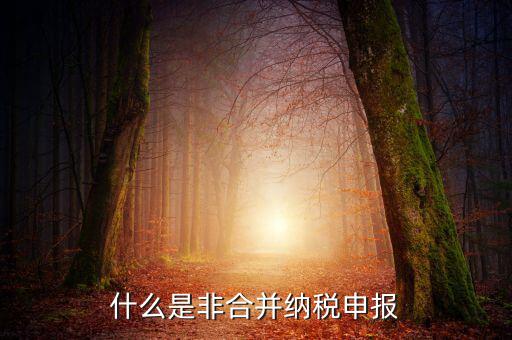 什么是非匯總納稅企業(yè)，什么是跨區(qū)經(jīng)營(yíng)匯總納稅企業(yè)