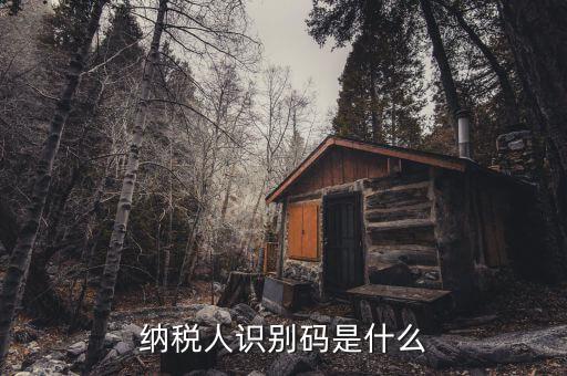 稅務(wù)識別碼有什么用，納稅人識別碼是什么