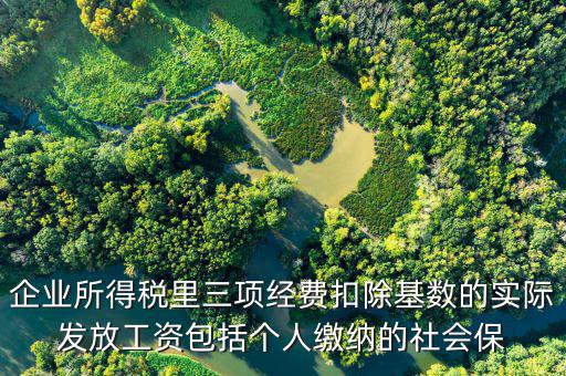 企業(yè)所得稅里三項經(jīng)費(fèi)扣除基數(shù)的實際發(fā)放工資包括個人繳納的社會保