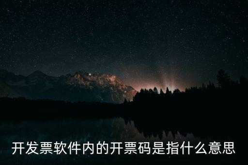 開(kāi)發(fā)票軟件內(nèi)的開(kāi)票碼是指什么意思