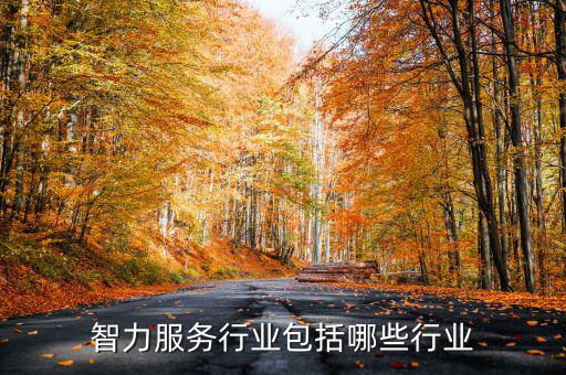 涉稅專(zhuān)業(yè)服務(wù)機(jī)構(gòu)包括什么，智力服務(wù)行業(yè)包括哪些行業(yè)
