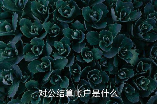什么是稅務待結算賬戶，結算賬戶有哪些