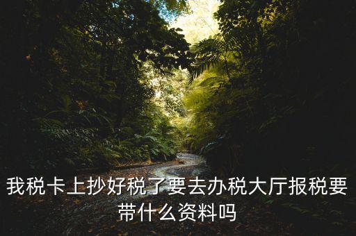 報(bào)稅廳抄報(bào)需要帶什么資料，抄稅需要帶些什么資料