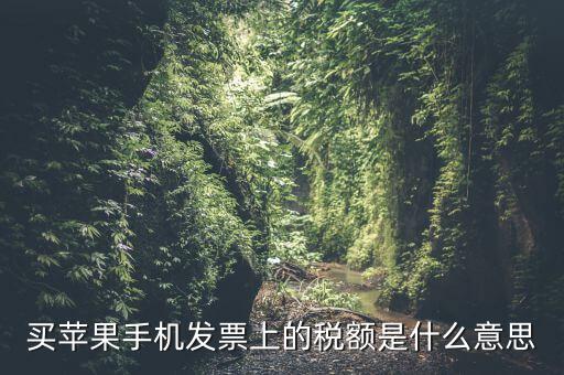 發(fā)票上的稅額是什么意思，買蘋果手機發(fā)票上的稅額是什么意思
