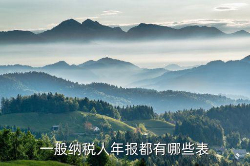 國稅年報是什么表，年報是指哪些報表是112月的嗎