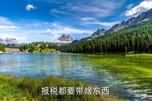 申報(bào)繳稅帶什么，報(bào)稅都要帶啥東西