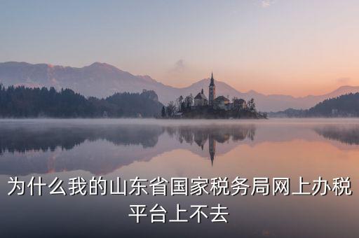 為什么登陸不了網(wǎng)上辦稅廳，為什么我的山東省國家稅務(wù)局網(wǎng)上辦稅平臺(tái)上不去